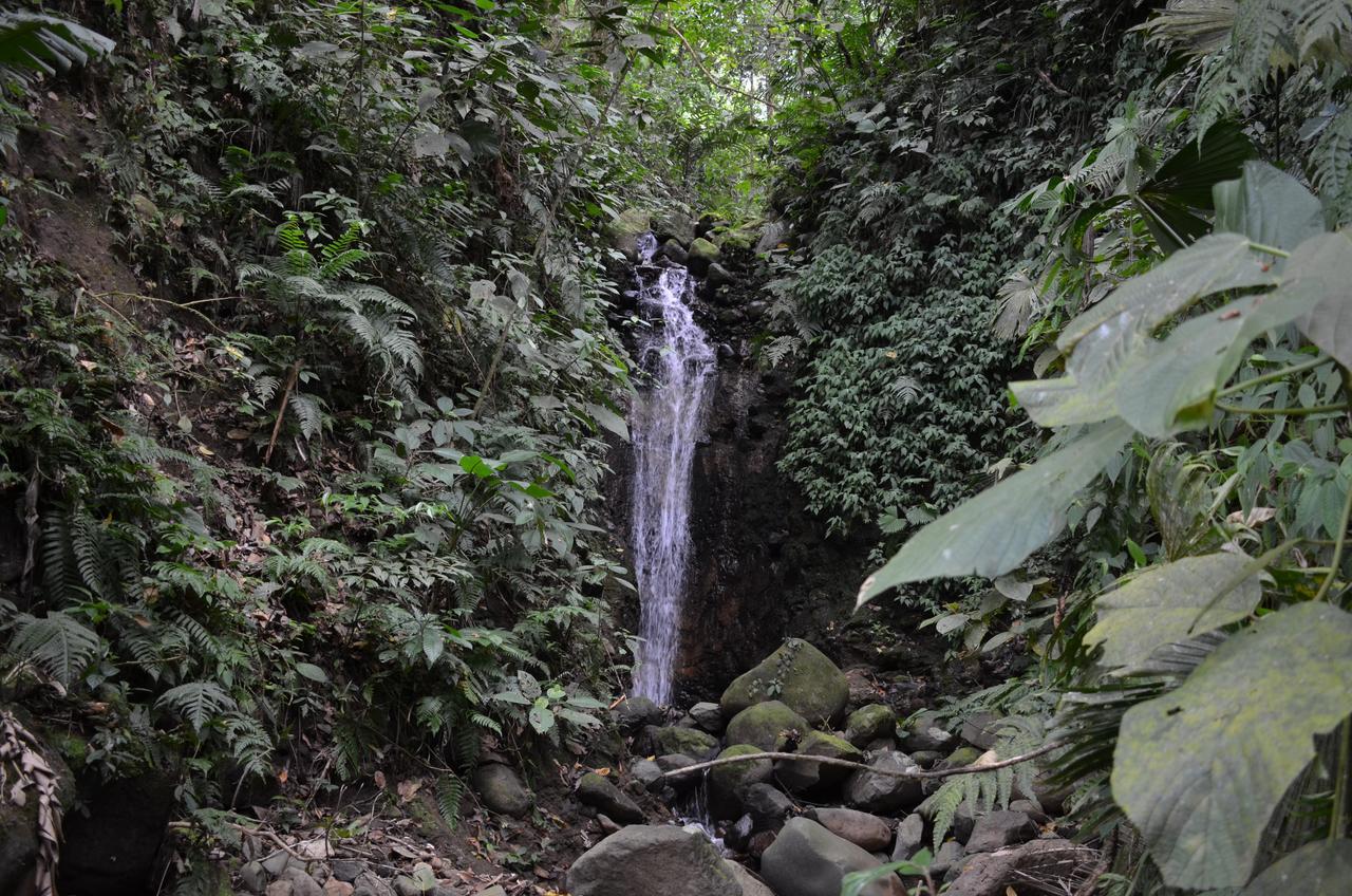 Lumbres Arenal Villa La Fortuna Eksteriør bilde